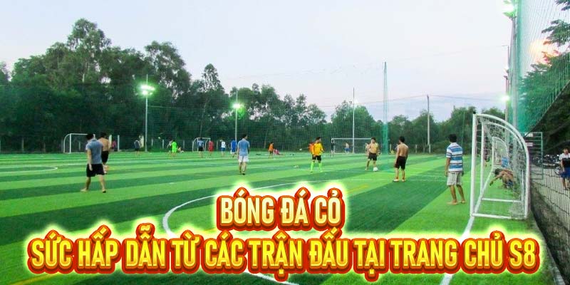 Bóng Đá Cỏ